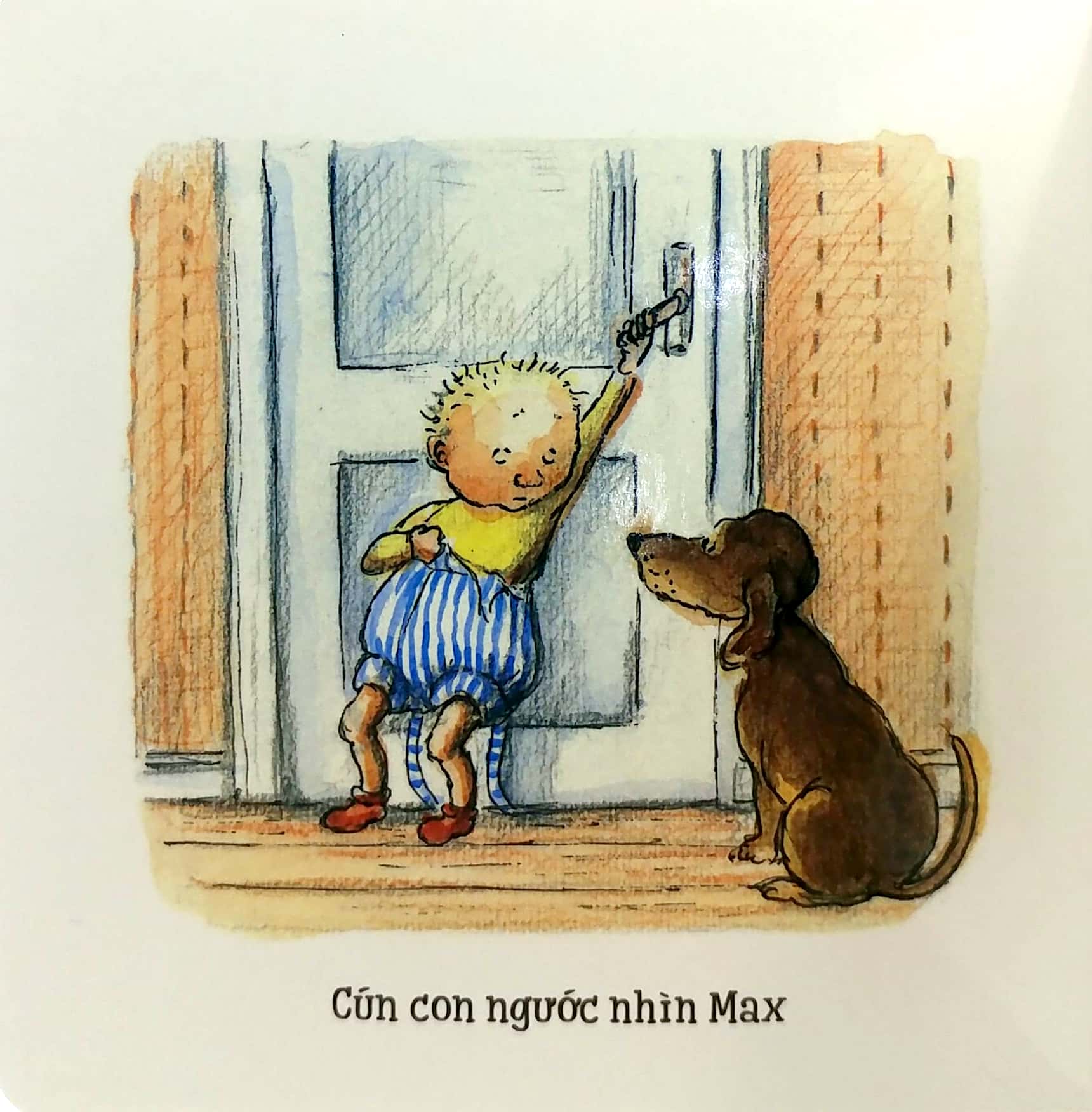 max và cái bô - Ảnh 2