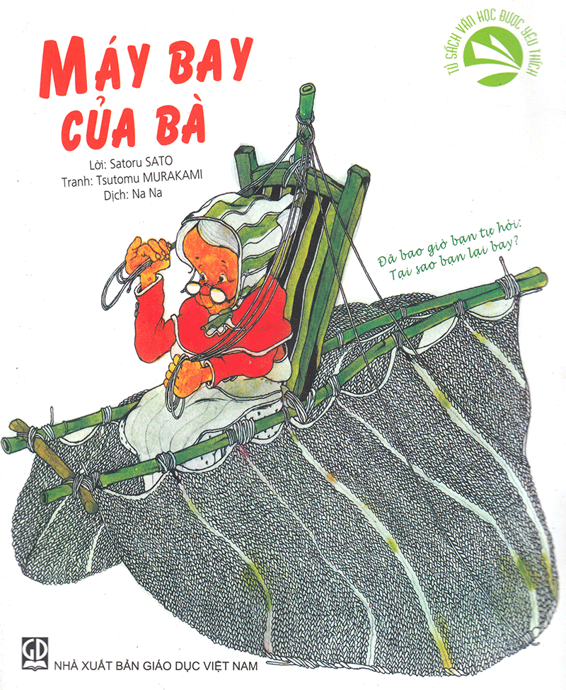 máy bay của bà - Ảnh 2