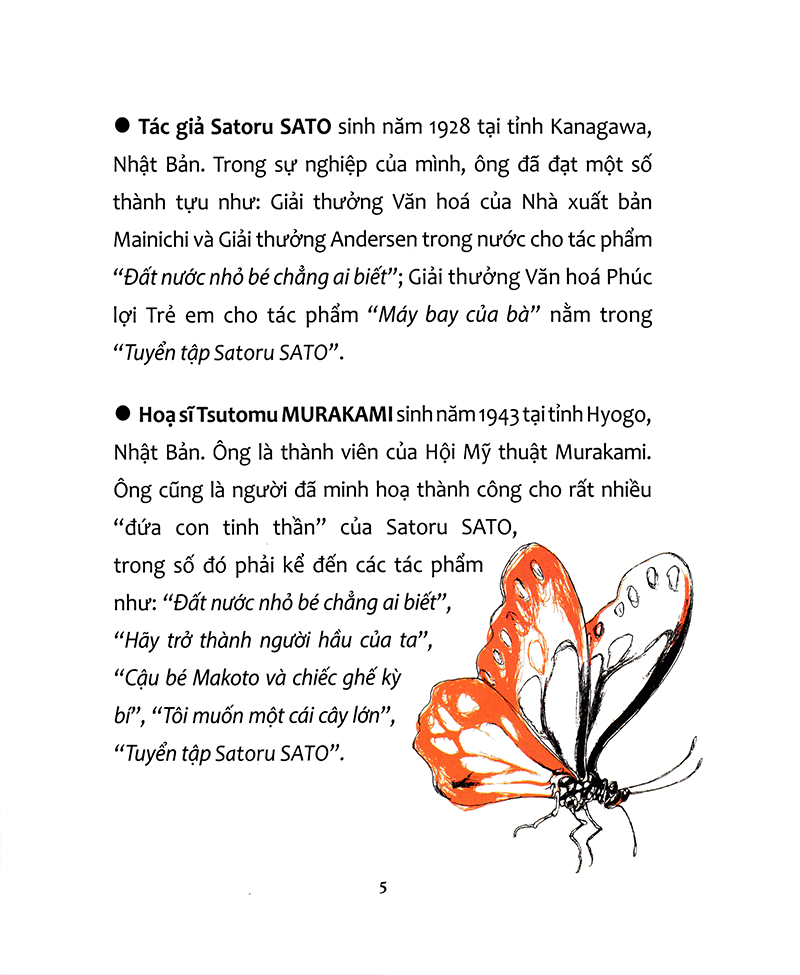 máy bay của bà - Ảnh 5