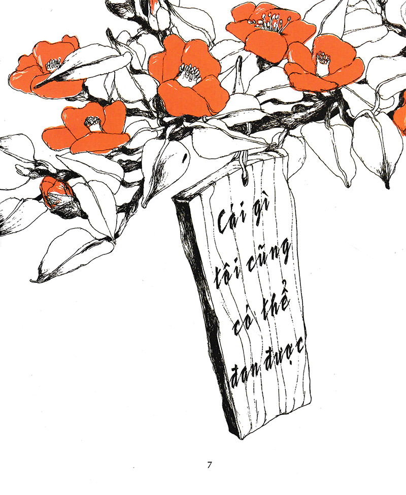 máy bay của bà - Ảnh 7