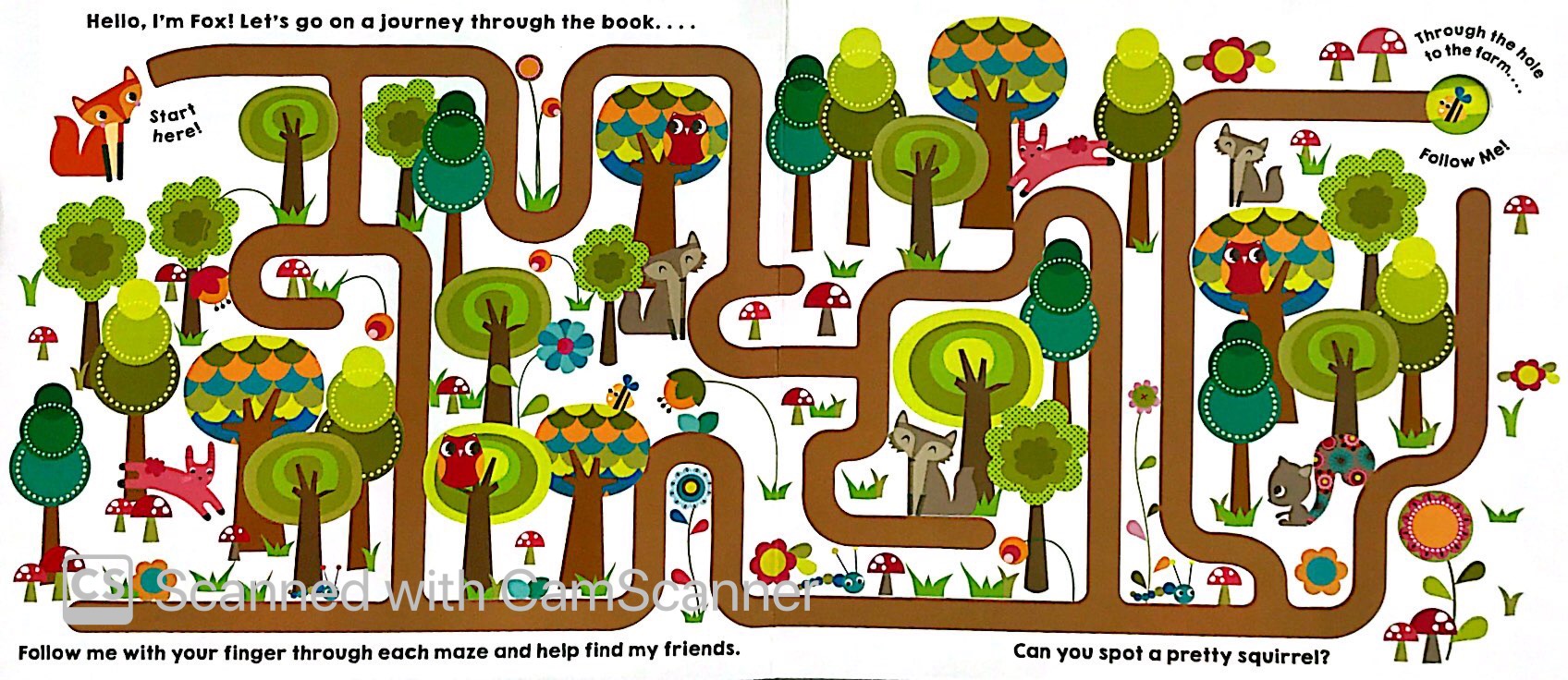 maze book: follow me - Ảnh 2