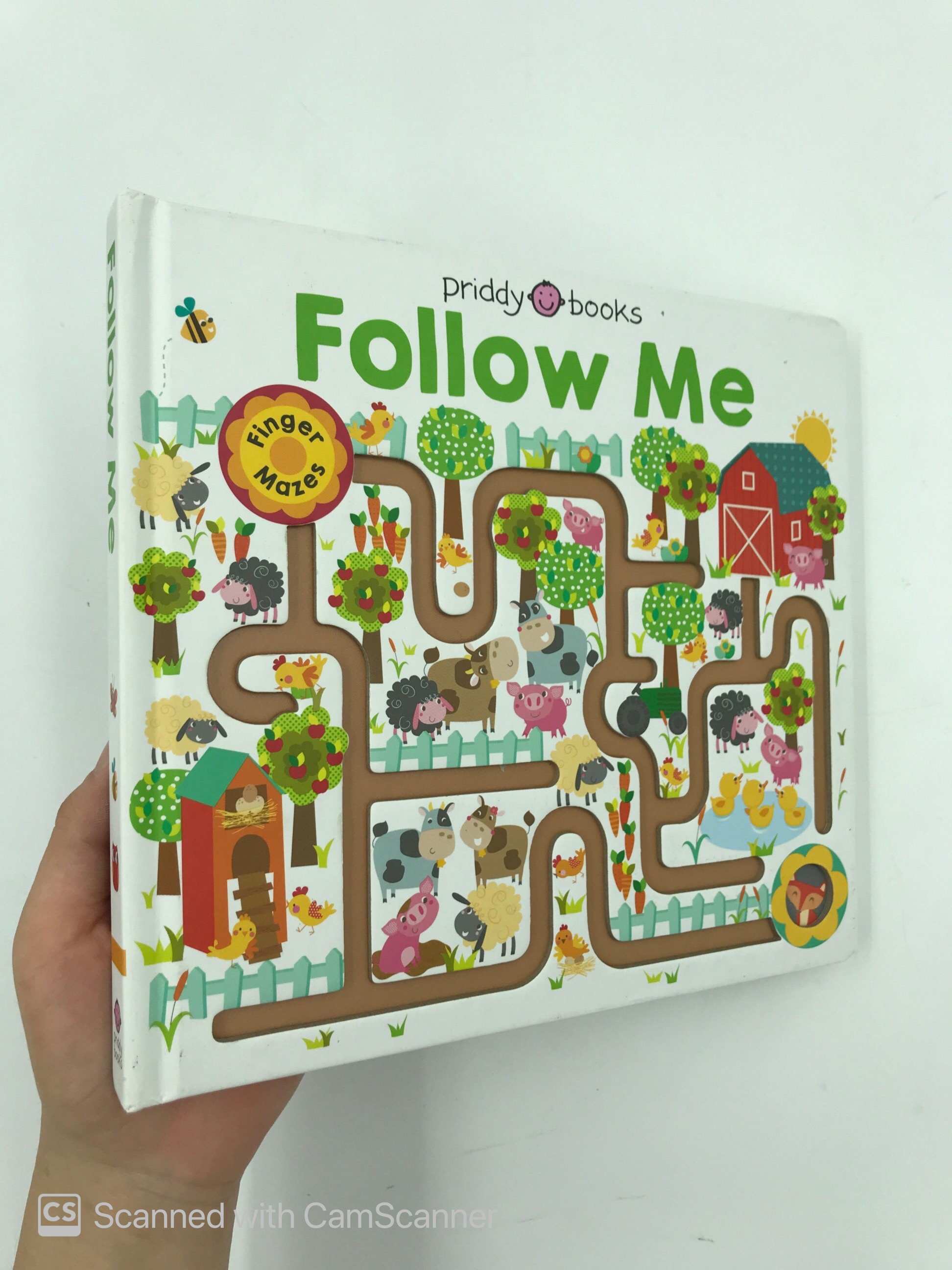 maze book: follow me - Ảnh 7