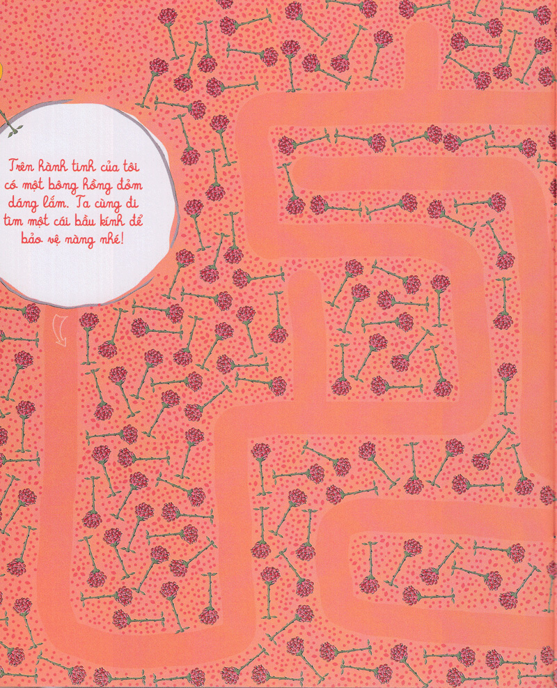 mê cung của hoàng tử bé - Ảnh 9