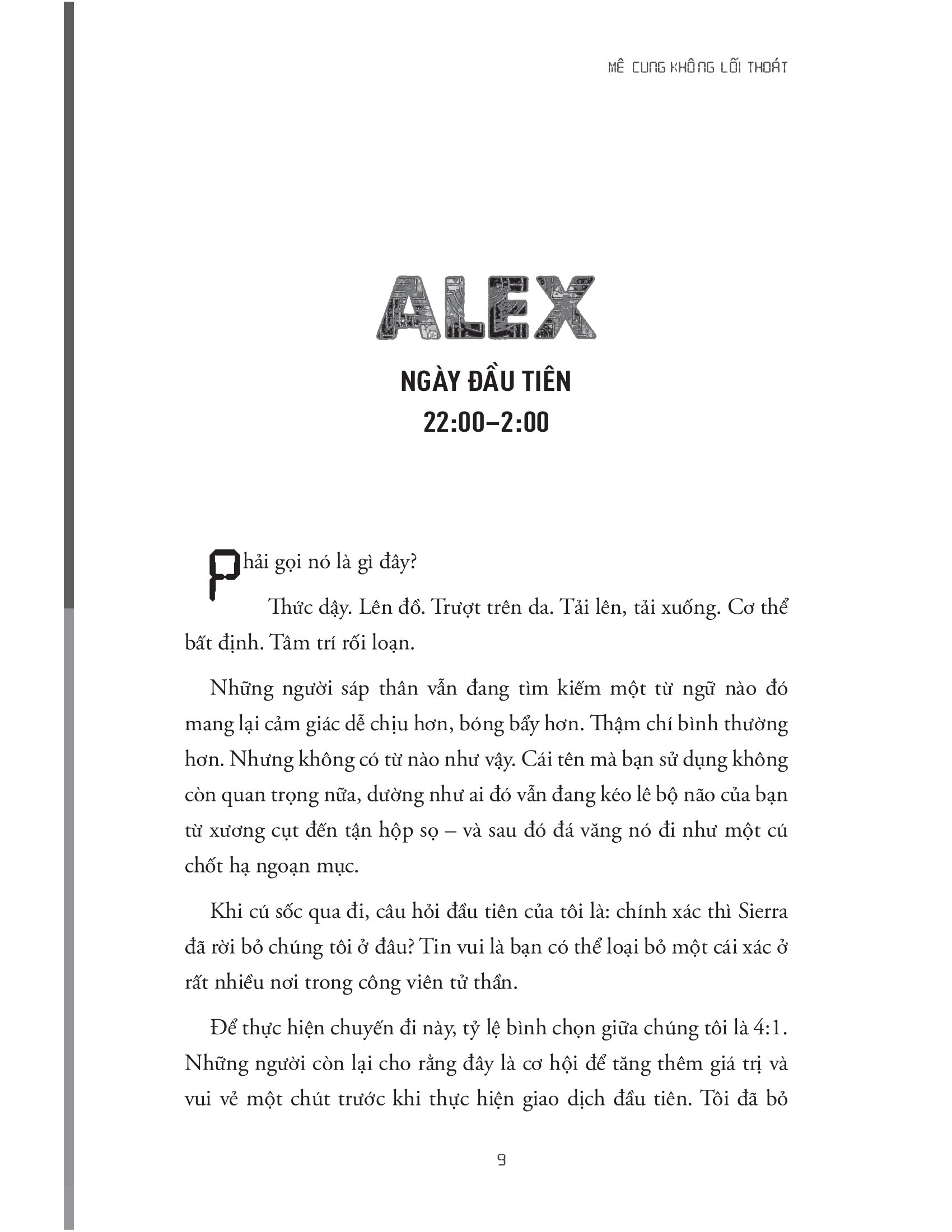 mê cung không lối thoát - Ảnh 5