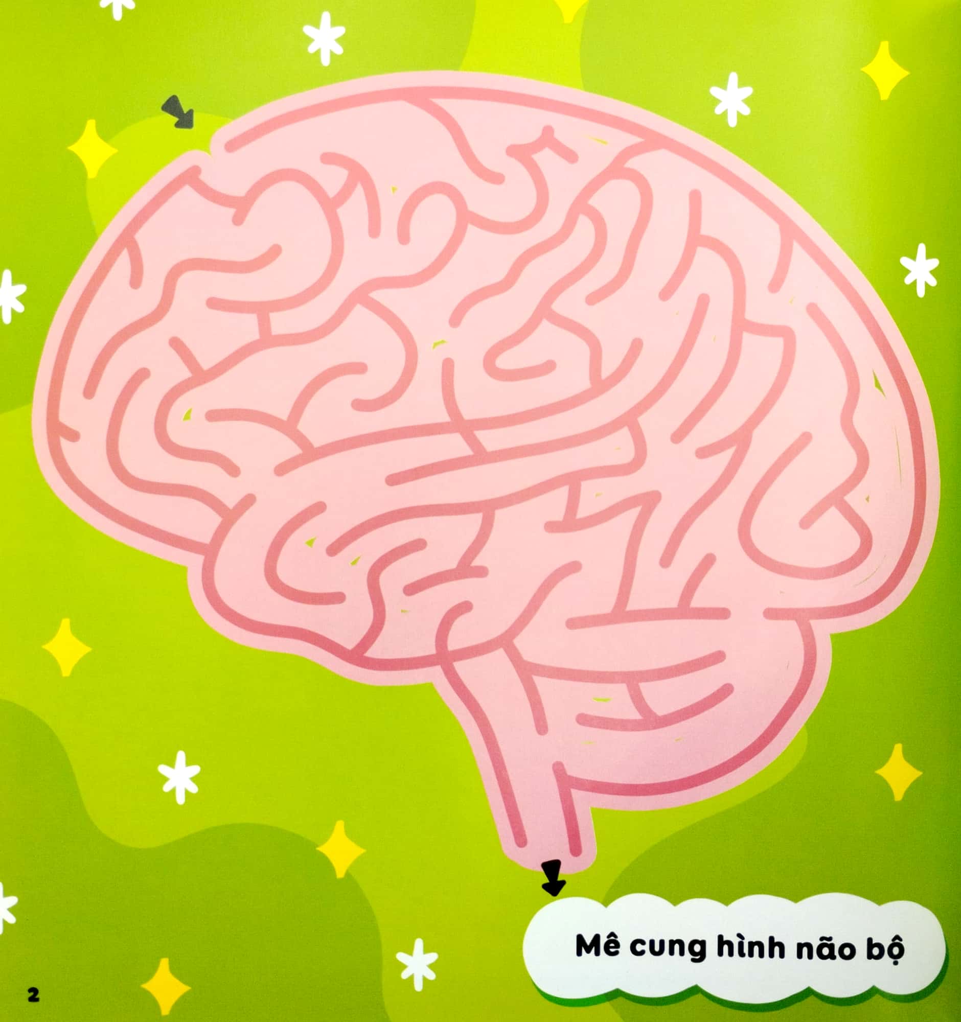 mê cung thông minh - rèn khả năng tập trung cho trẻ - cơ thể người (từ 4-10 tuổi) - Ảnh 5