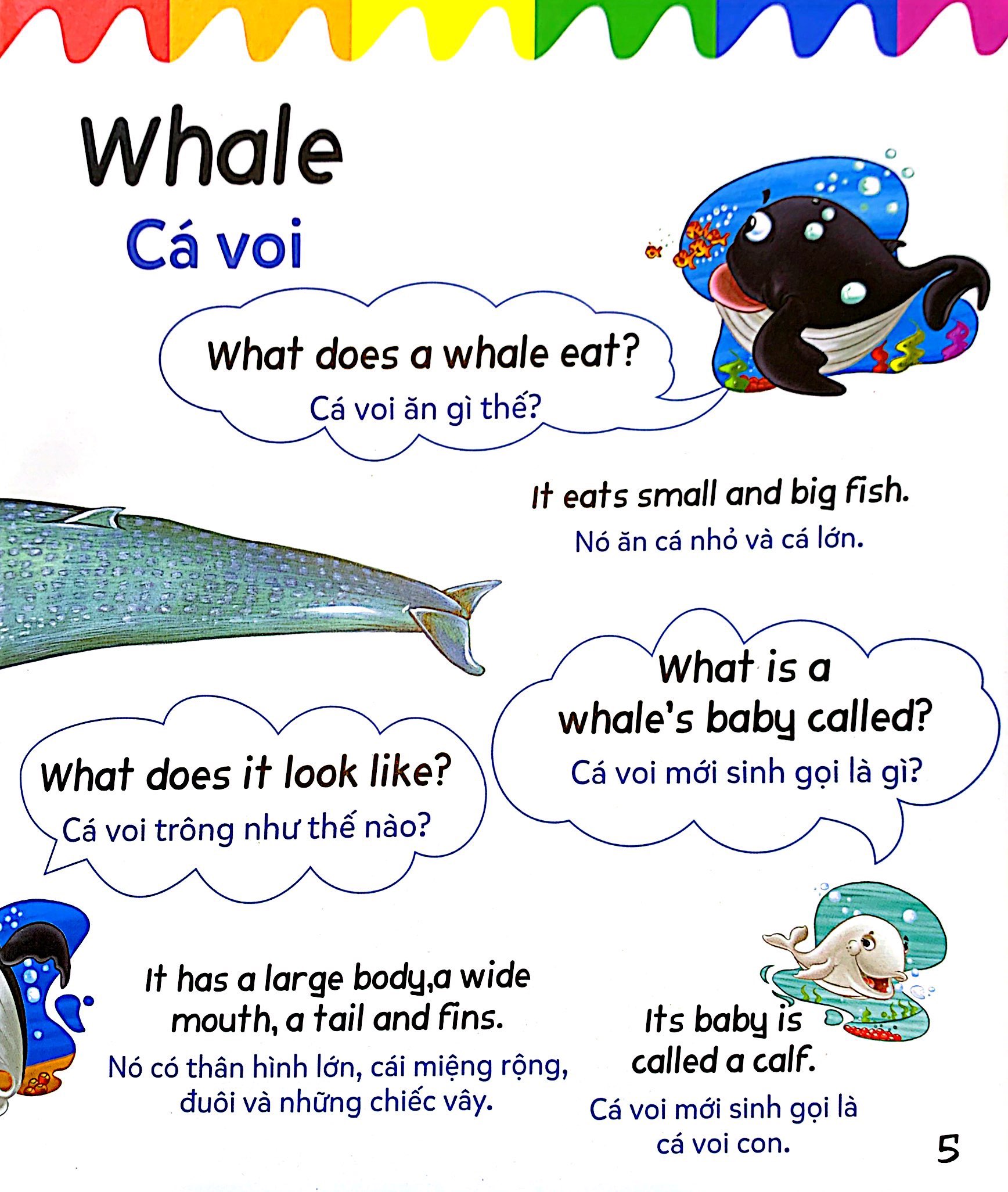 mẹ hỏi bé trả lời - song ngữ anh-việt - ocean - đại dương (dành cho trẻ từ 2-7 tuổi) - Ảnh 6