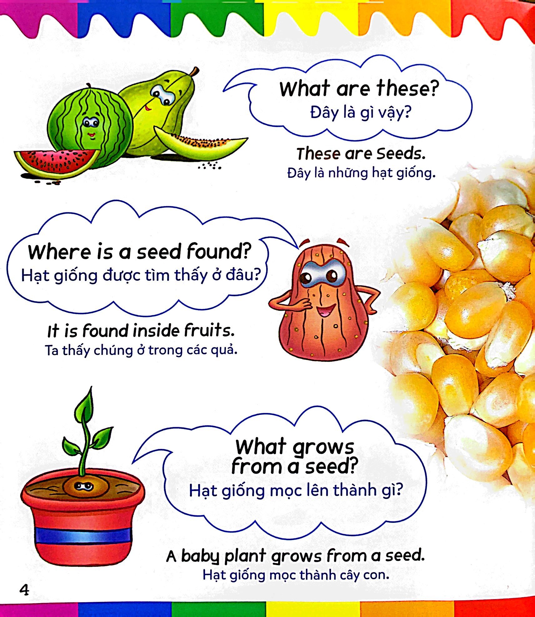 mẹ hỏi bé trả lời - song ngữ anh-việt - plants - thực vật (dành cho trẻ từ 2-7 tuổi) - Ảnh 5
