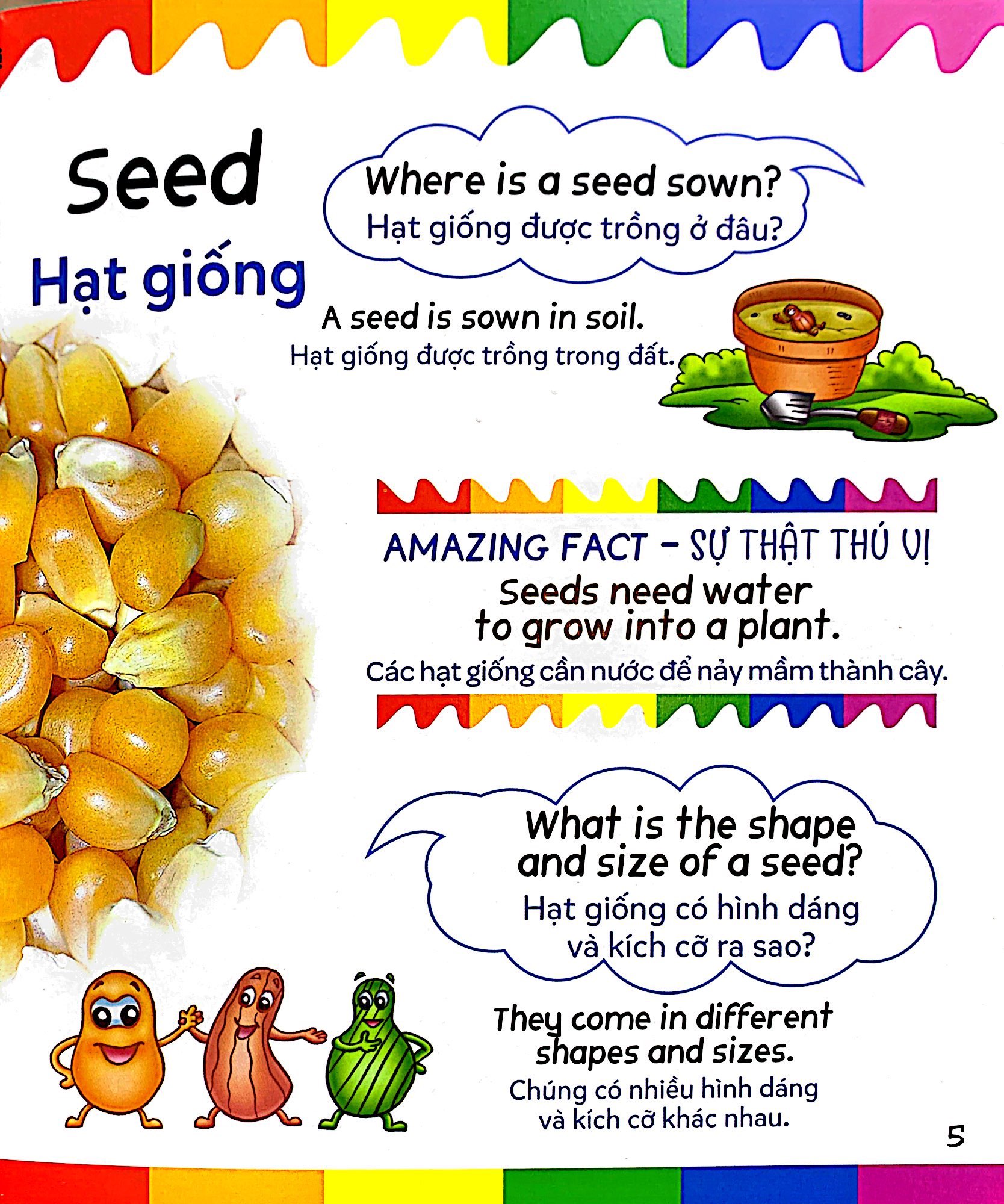 mẹ hỏi bé trả lời - song ngữ anh-việt - plants - thực vật (dành cho trẻ từ 2-7 tuổi) - Ảnh 6