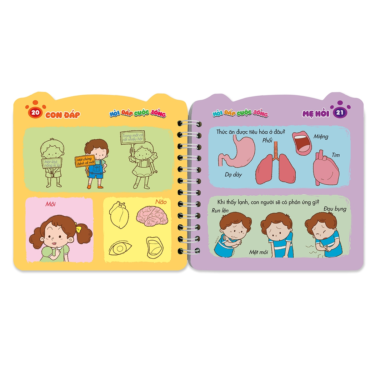 mẹ hỏi con đáp - phát triển toàn diện - hỏi đáp cuộc sống (2-6 tuổi) (tái bản) - Ảnh 3