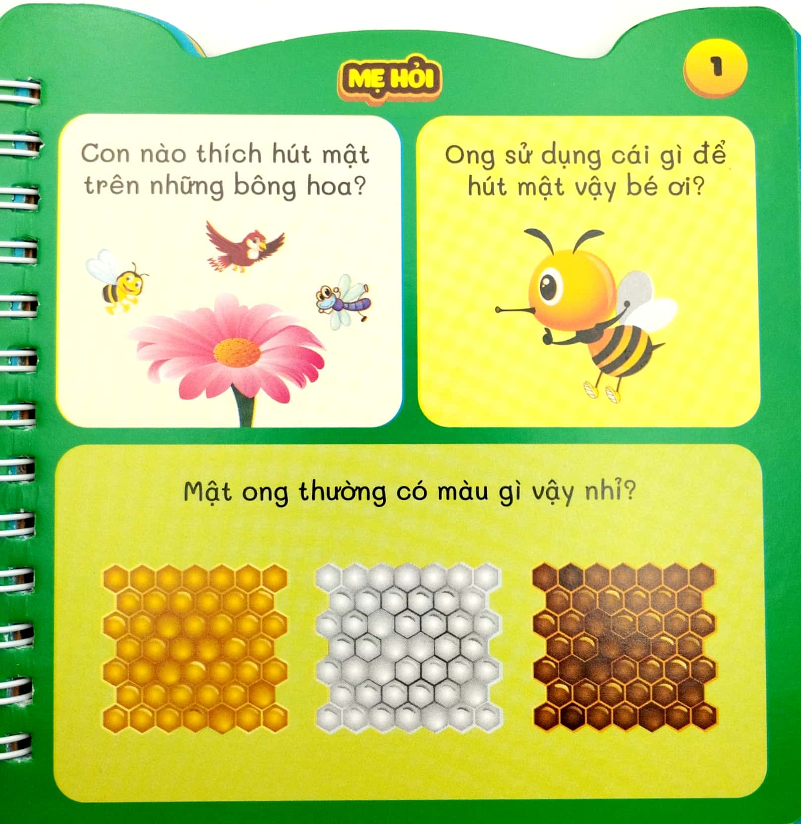 mẹ hỏi con đáp - thế giới tự nhiên - Ảnh 4