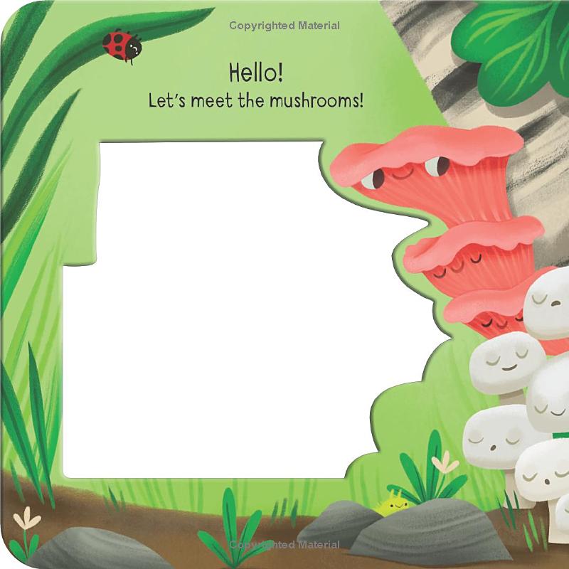 meet the mushrooms! - Ảnh 3