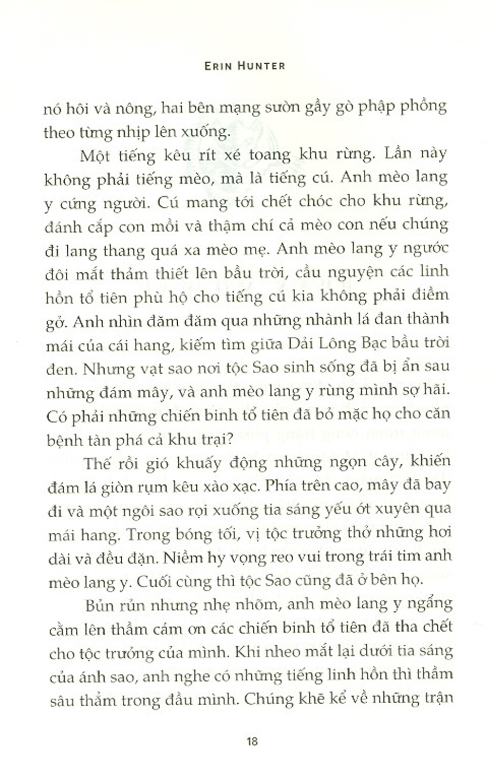 mèo chiến binh - bão nổi - Ảnh 3