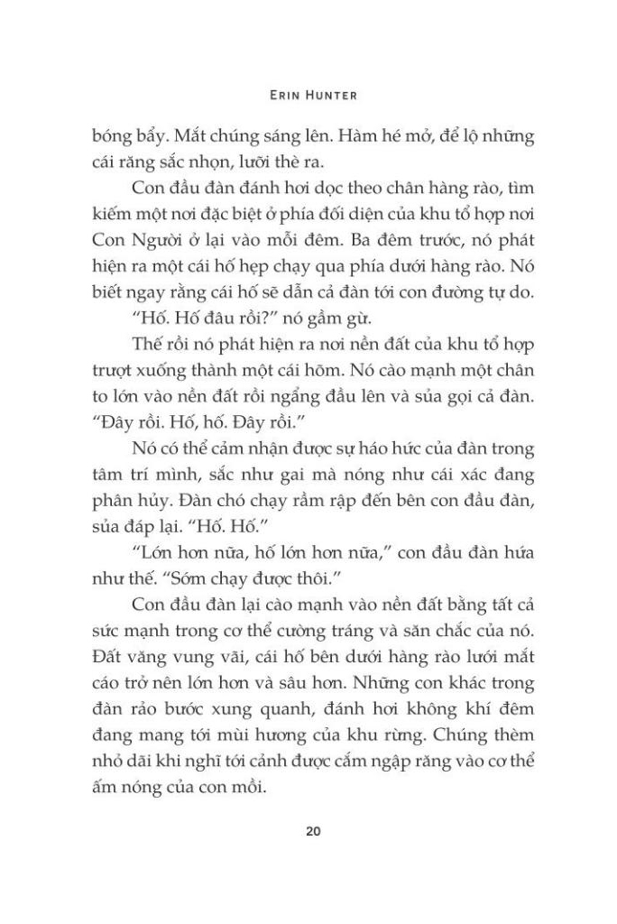 mèo chiến binh - con đường hiểm nguy - Ảnh 10