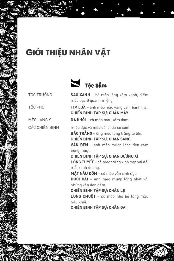 mèo chiến binh - con đường hiểm nguy - Ảnh 3