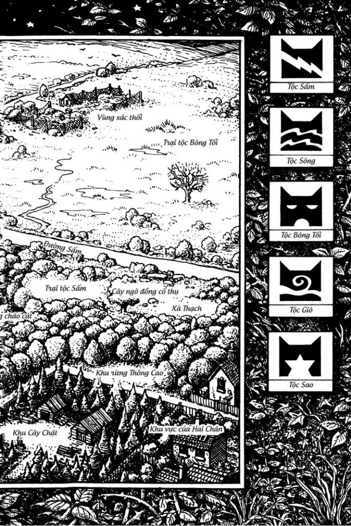 mèo chiến binh - con đường hiểm nguy - Ảnh 6