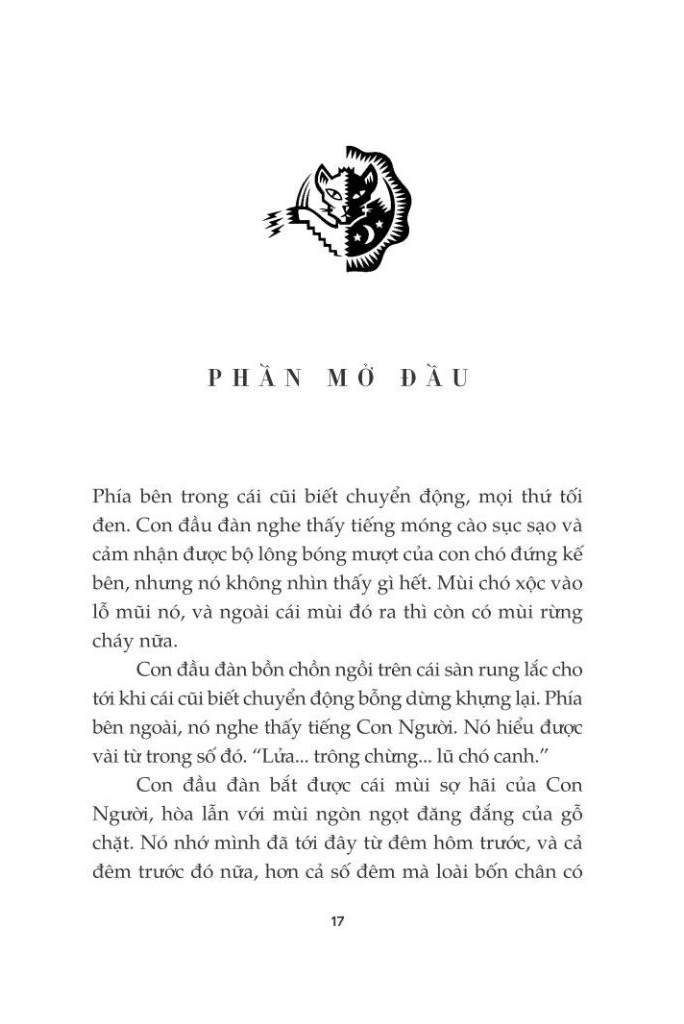 mèo chiến binh - con đường hiểm nguy - Ảnh 7