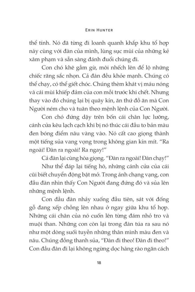 mèo chiến binh - con đường hiểm nguy - Ảnh 8
