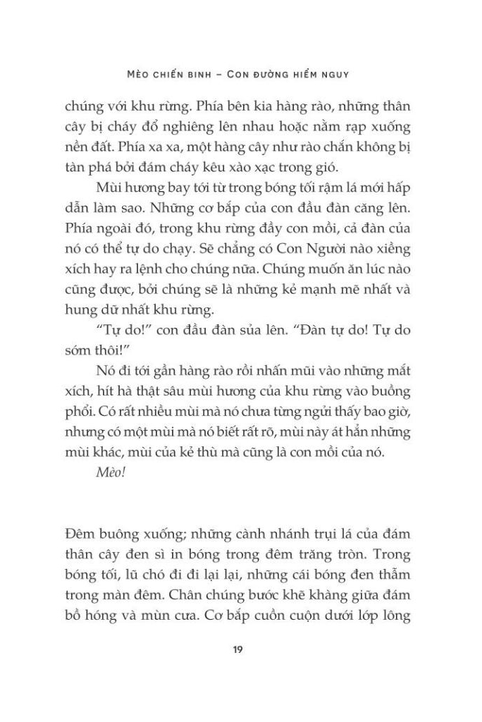 mèo chiến binh - con đường hiểm nguy - Ảnh 9