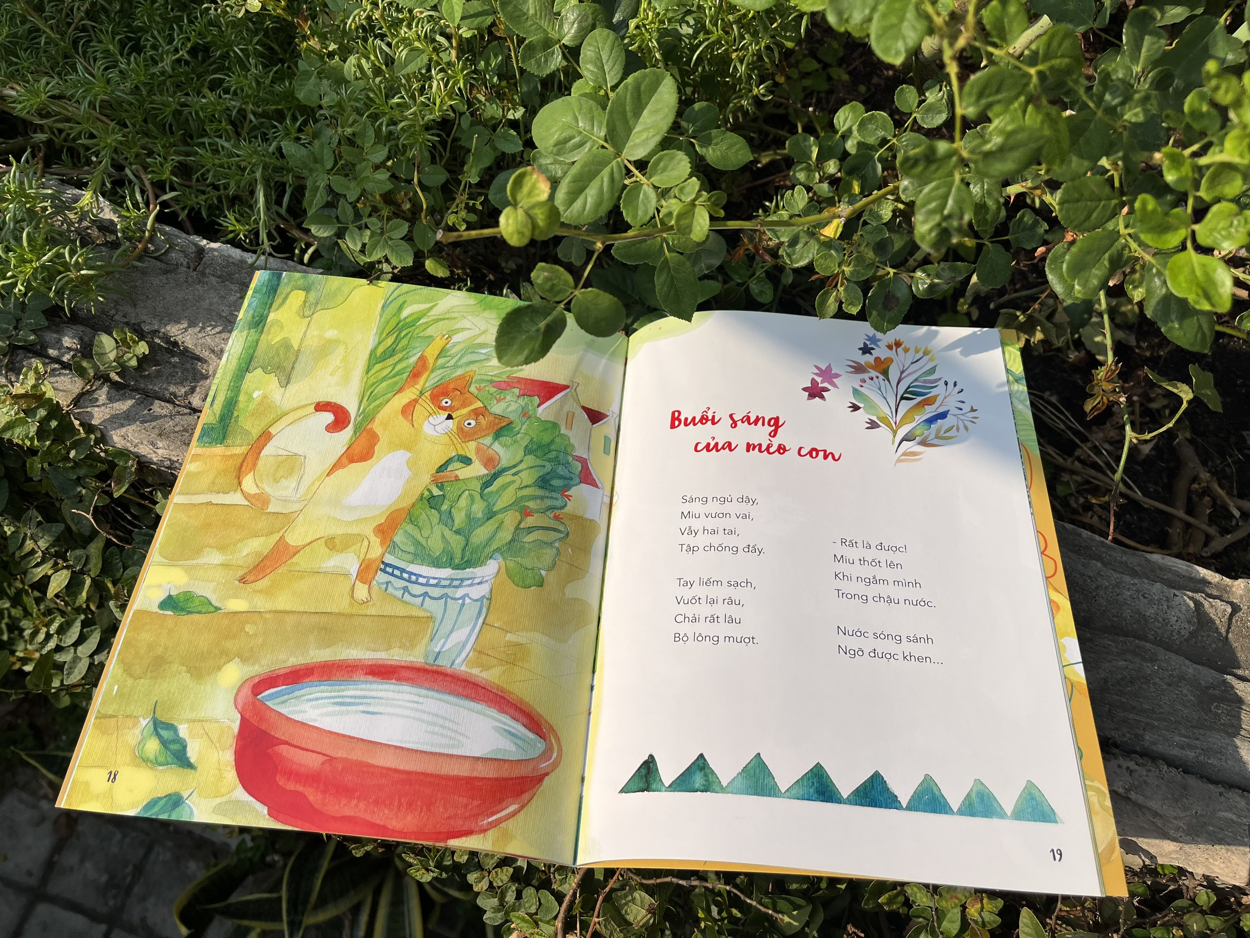 mèo con đếm tuổi - Ảnh 2