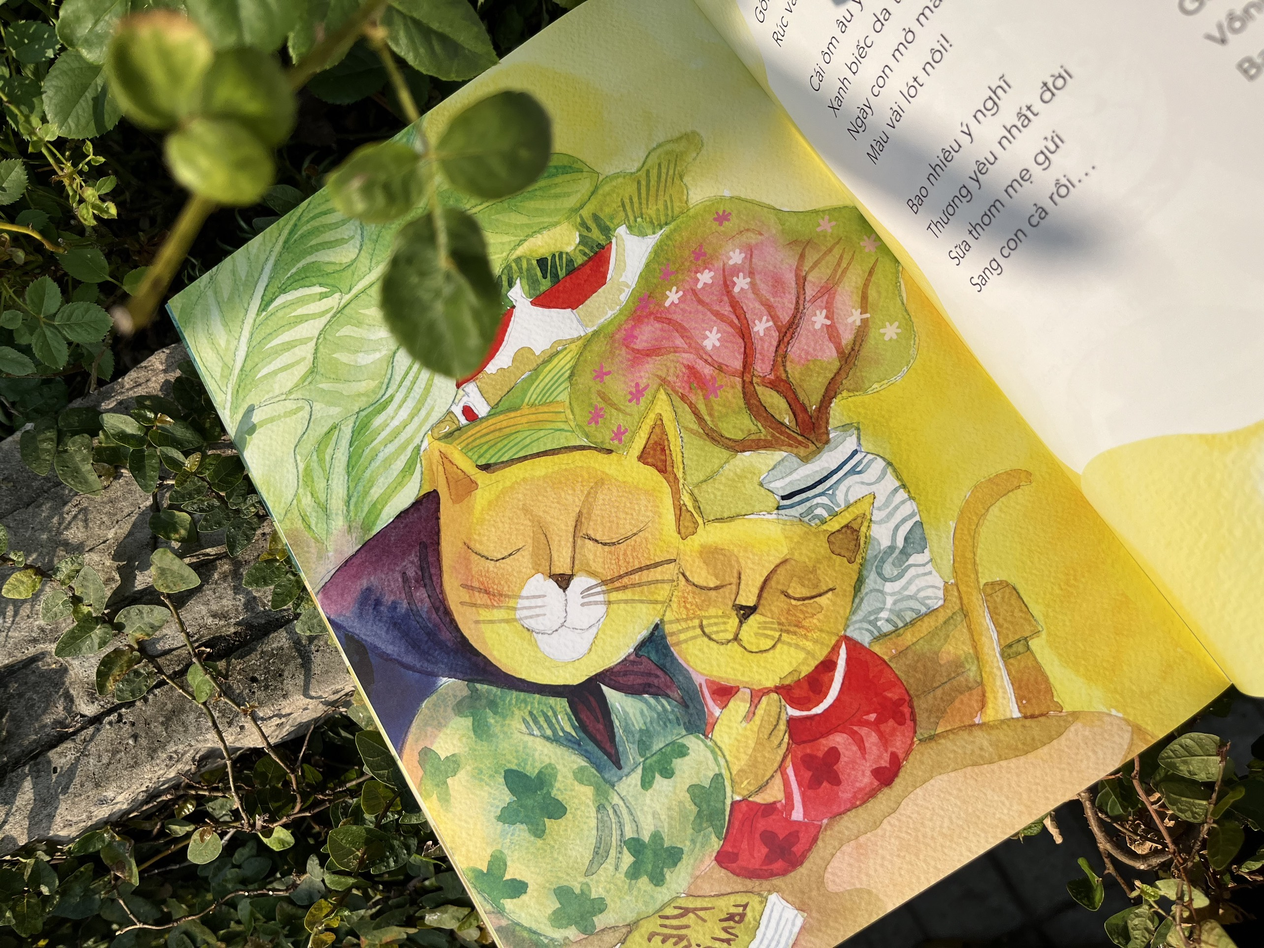 mèo con đếm tuổi - Ảnh 3