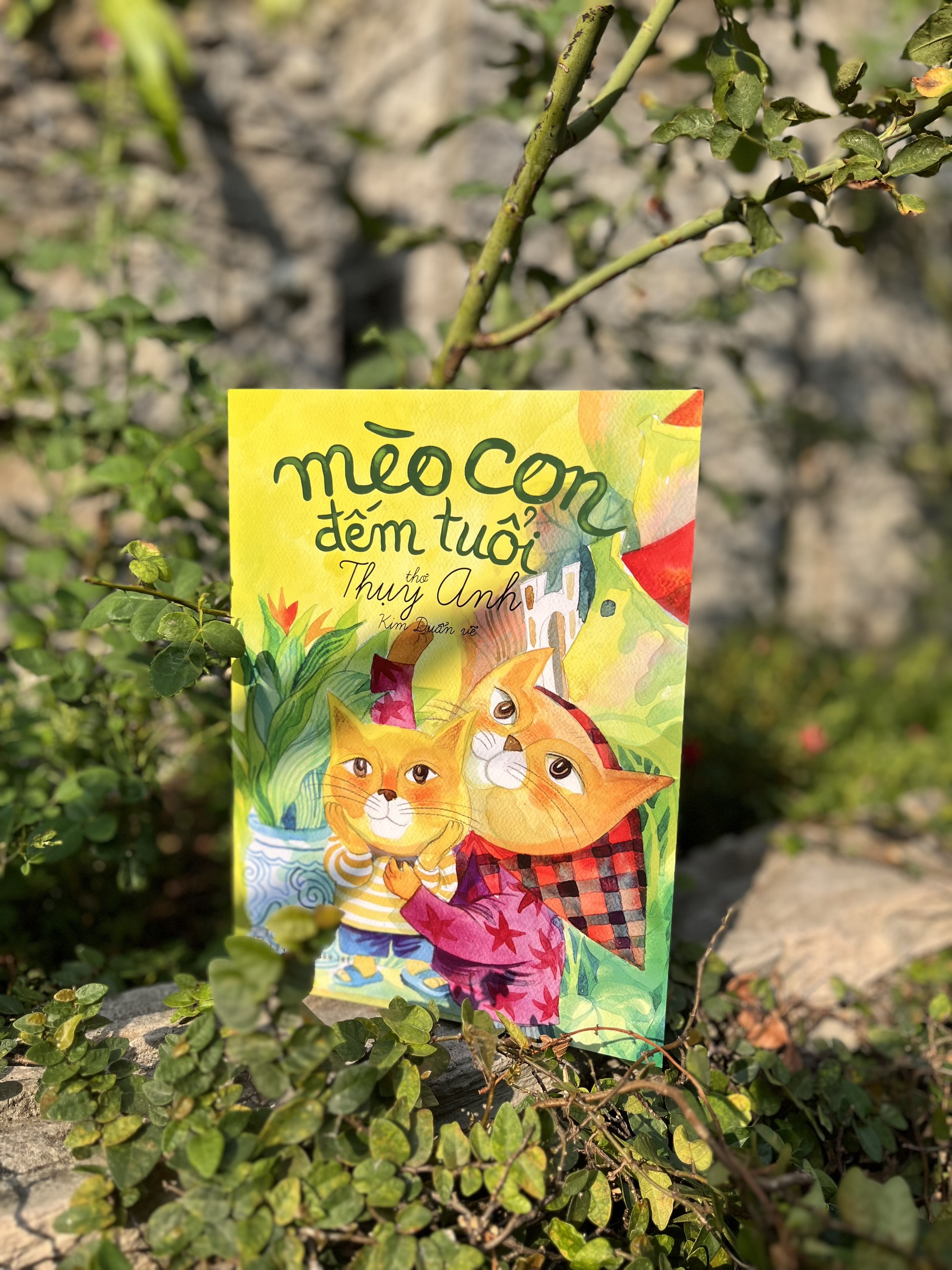 mèo con đếm tuổi - Ảnh 5