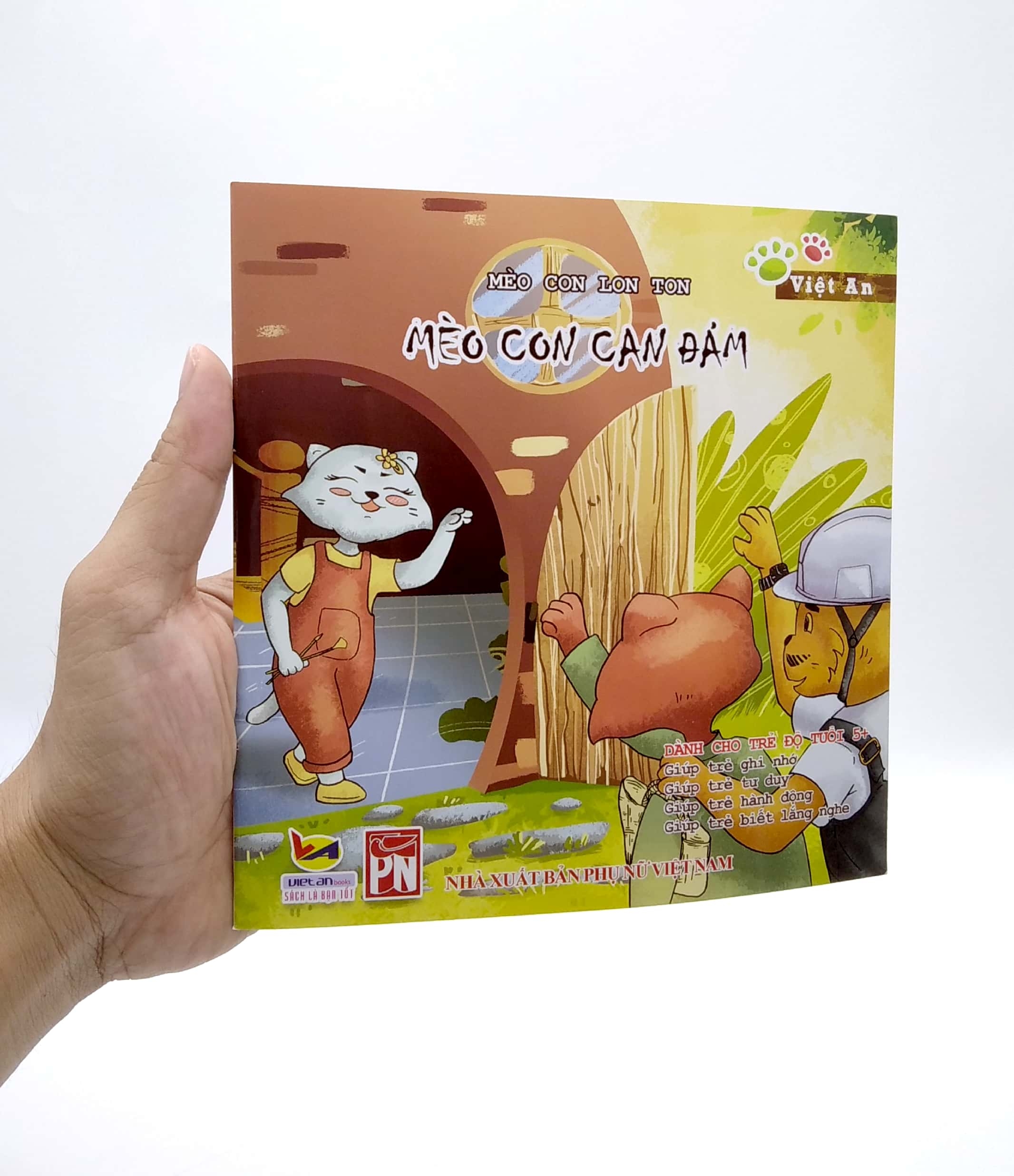 mèo con lon ton - mèo con can đảm - Ảnh 7