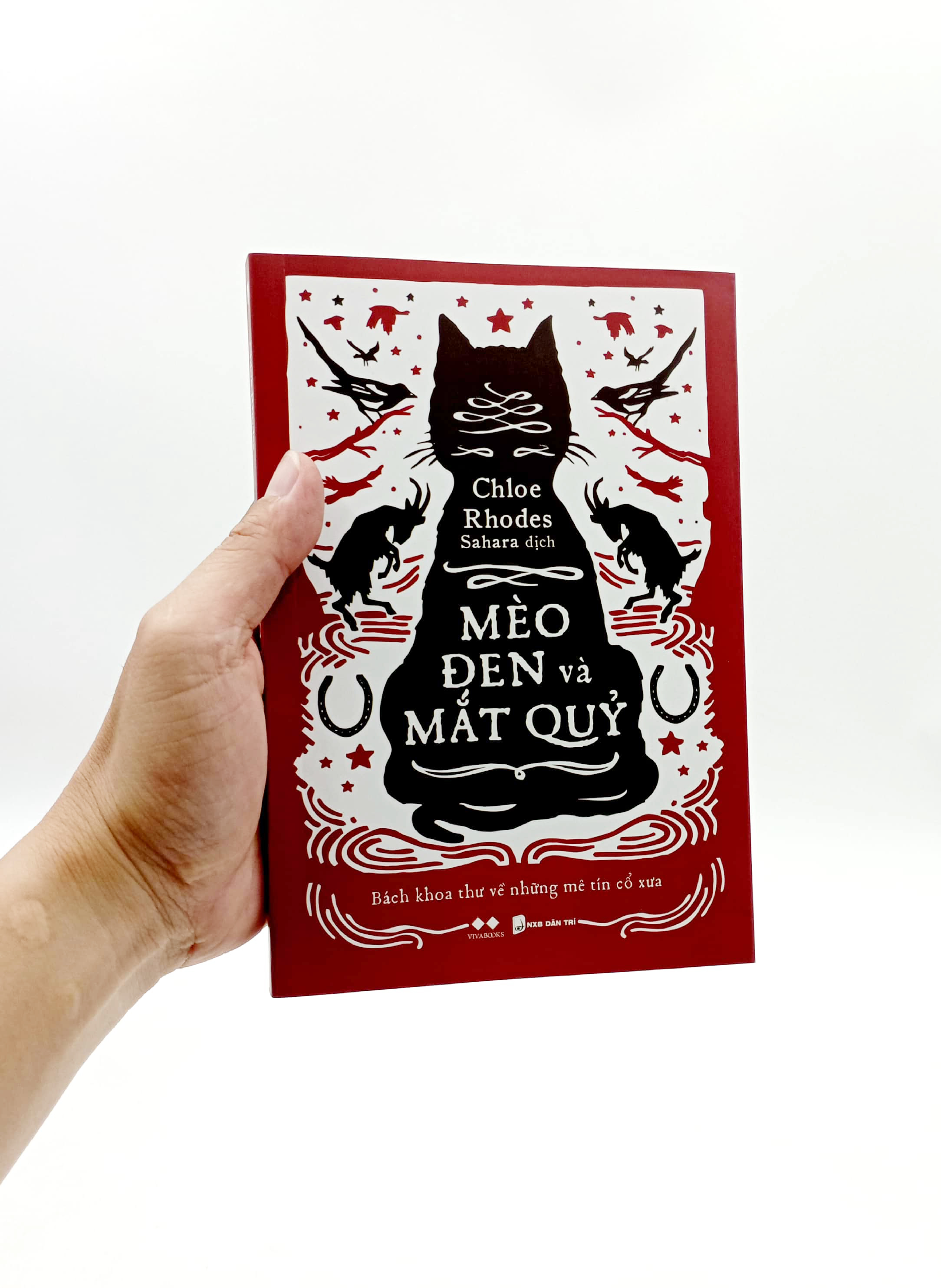 mèo đen và mắt quỷ - Ảnh 7