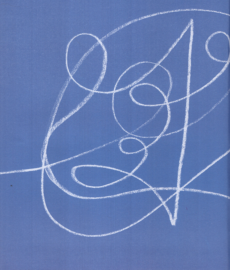 mèo max và chim - Ảnh 3