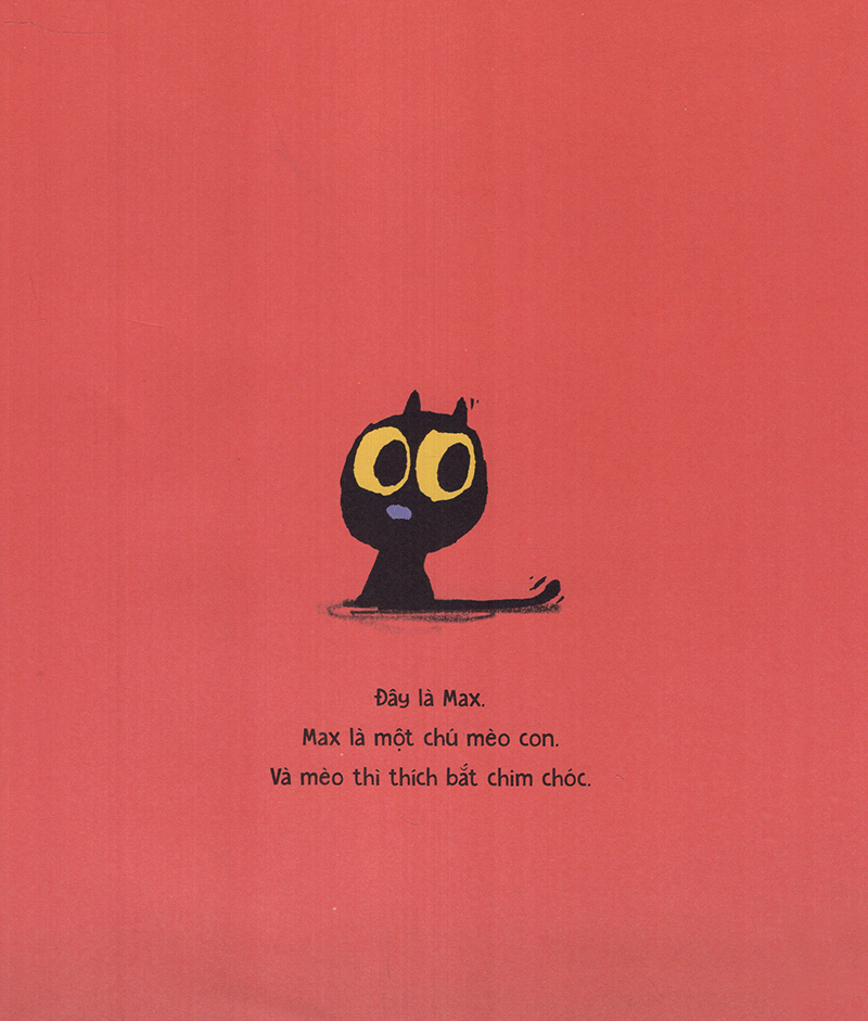 mèo max và chim - Ảnh 5