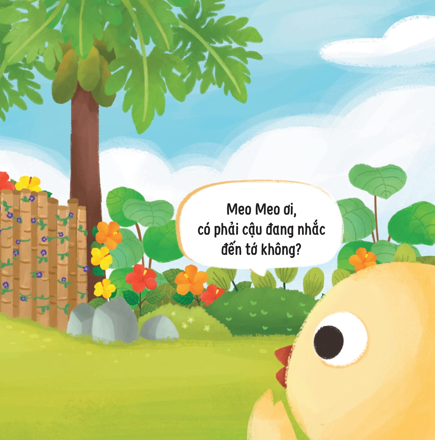 meo meo bé mèo tốt bụng - người bạn mõm dài - Ảnh 6