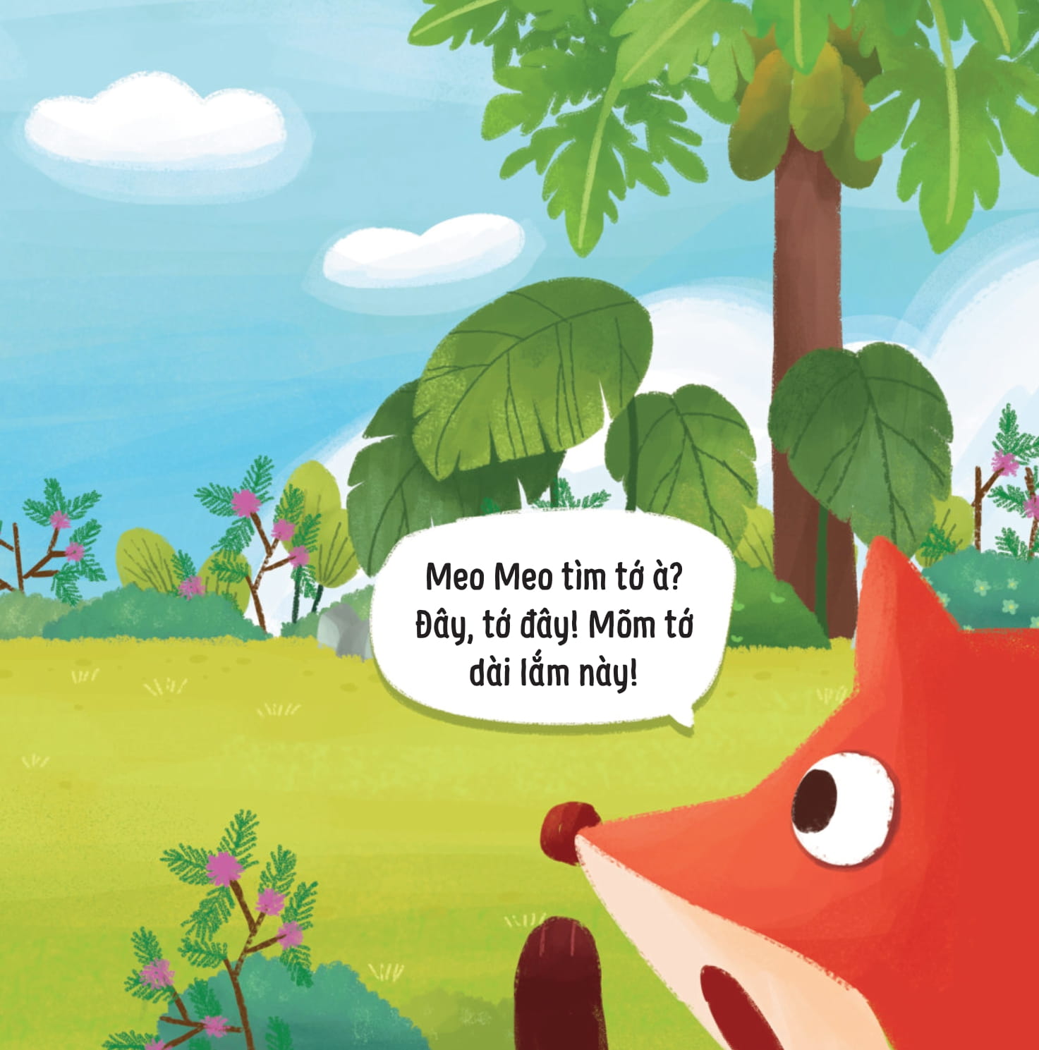 meo meo bé mèo tốt bụng - người bạn mõm dài - Ảnh 8