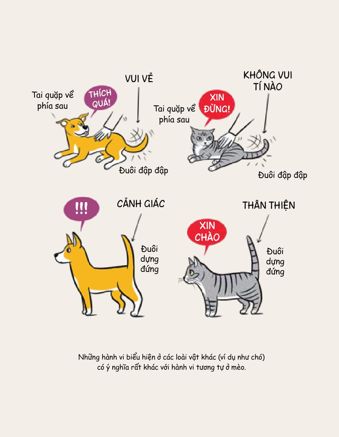 méo mèo meo - bí mật giao tiếp từ cái vẫy đuôi đến tiếng grừ grừ - tặng kèm thẻ đeo mica cá nhân hóa + bộ sticker mèo dễ thương - Ảnh 16