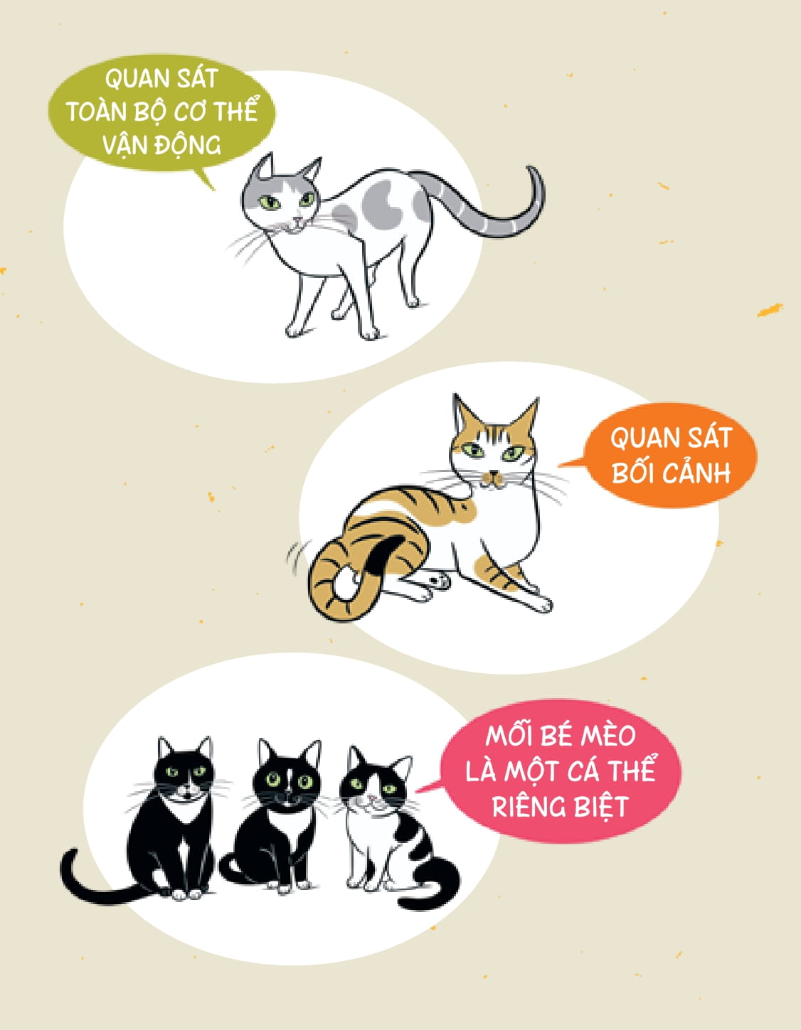 méo mèo meo - bí mật giao tiếp từ cái vẫy đuôi đến tiếng grừ grừ - tặng kèm thẻ đeo mica cá nhân hóa + bộ sticker mèo dễ thương - Ảnh 19