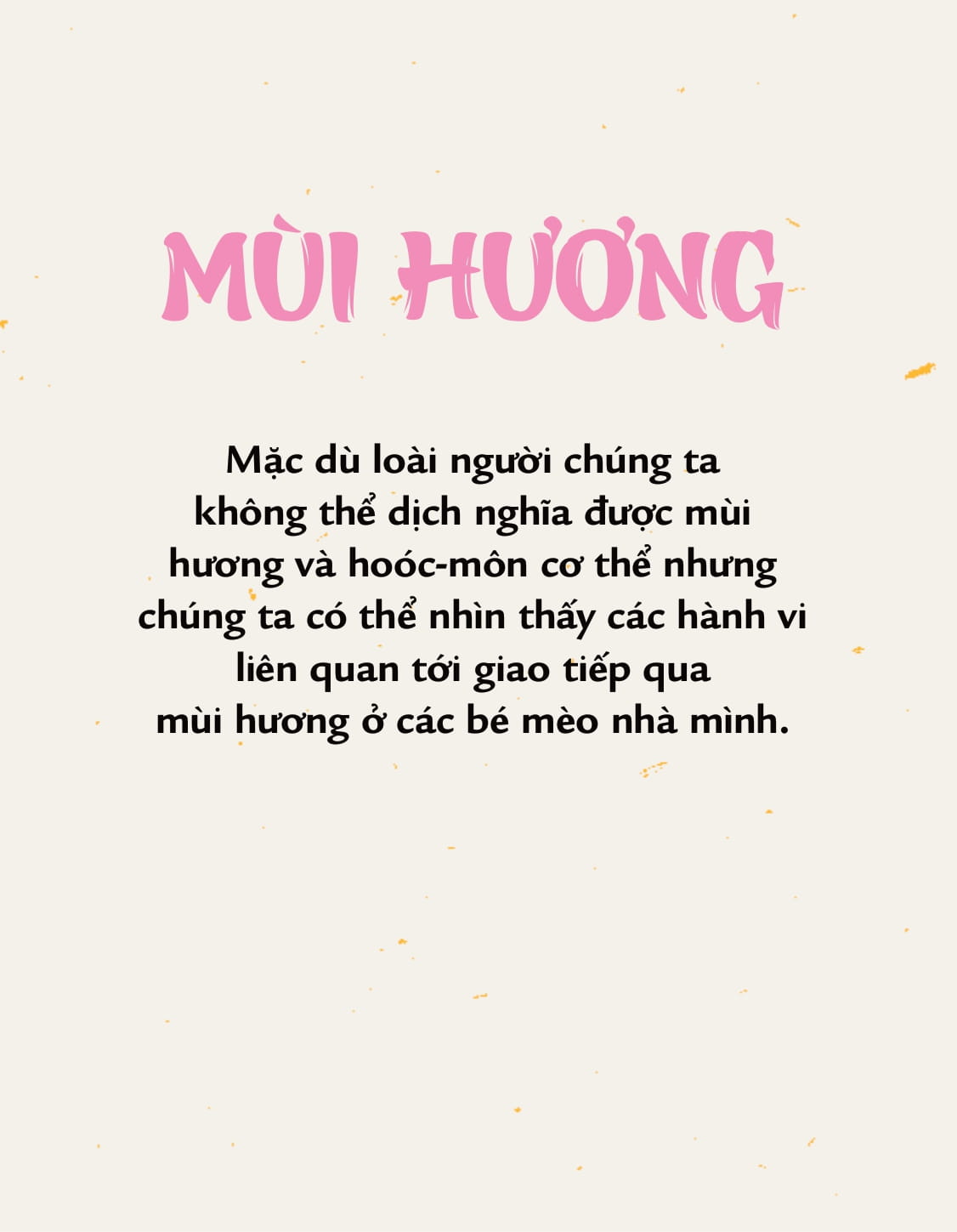 méo mèo meo - bí mật giao tiếp từ cái vẫy đuôi đến tiếng grừ grừ - tặng kèm thẻ đeo mica cá nhân hóa + bộ sticker mèo dễ thương - Ảnh 21