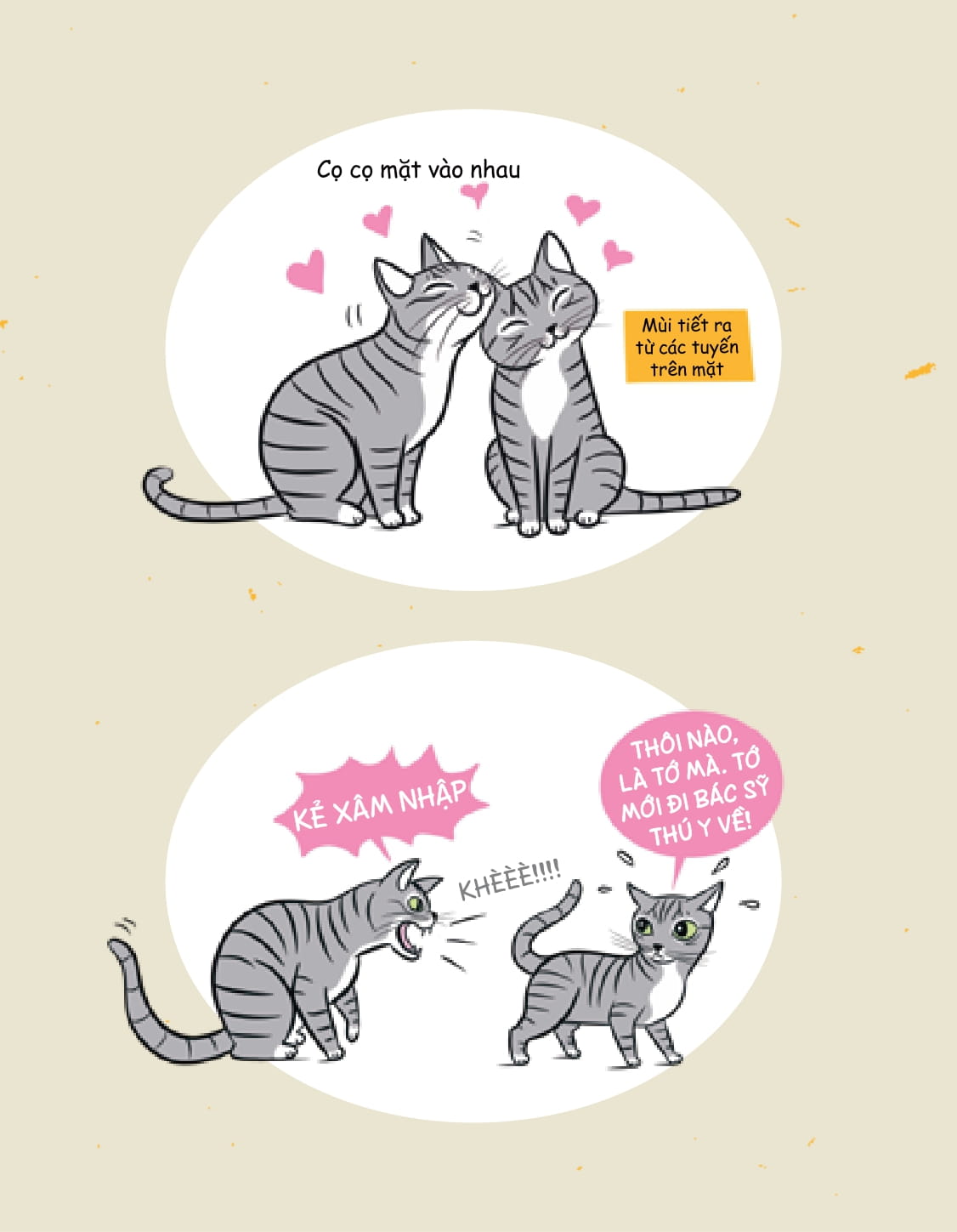méo mèo meo - bí mật giao tiếp từ cái vẫy đuôi đến tiếng grừ grừ - tặng kèm thẻ đeo mica cá nhân hóa + bộ sticker mèo dễ thương - Ảnh 23