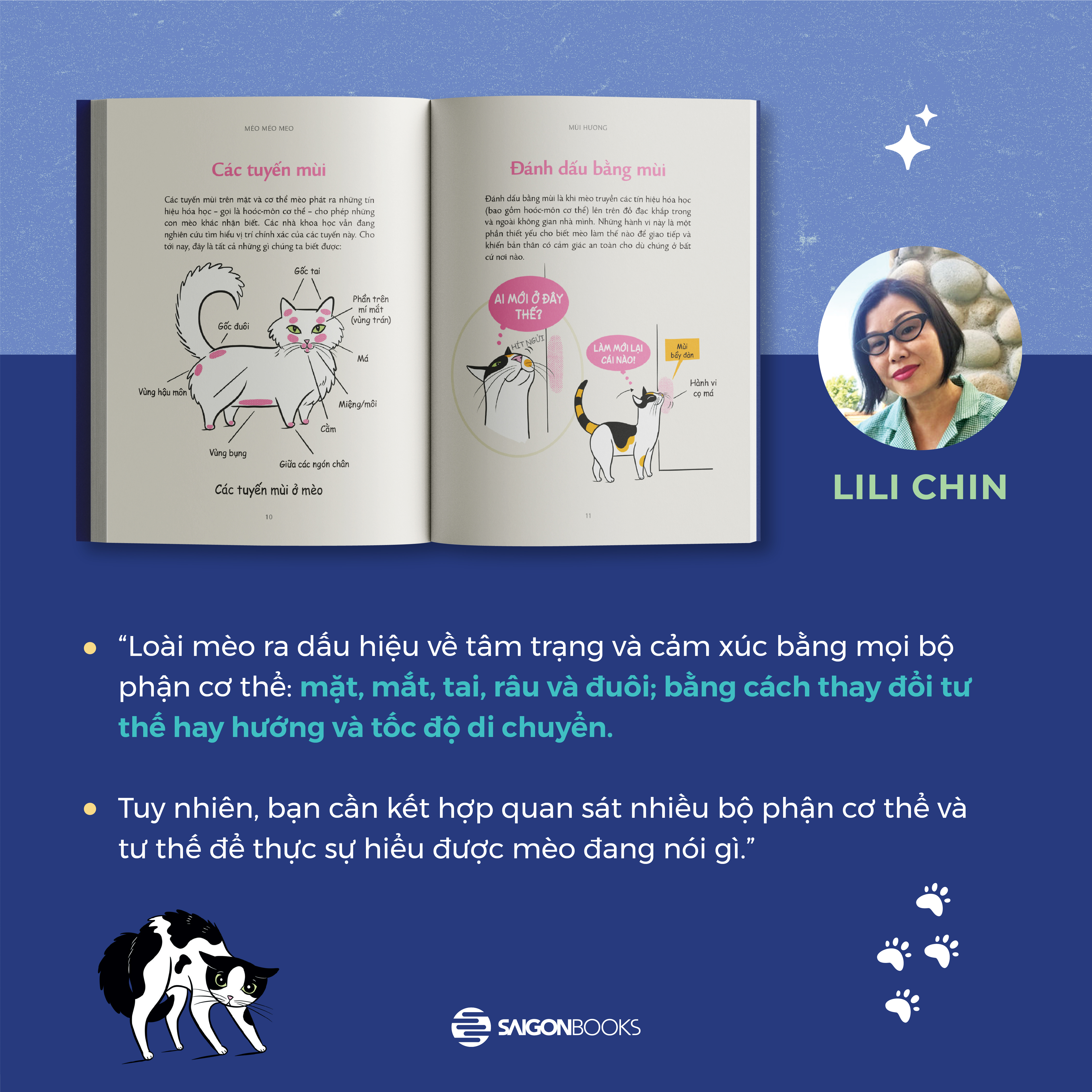 méo mèo meo - bí mật giao tiếp từ cái vẫy đuôi đến tiếng grừ grừ - tặng kèm thẻ đeo mica cá nhân hóa + bộ sticker mèo dễ thương - Ảnh 6