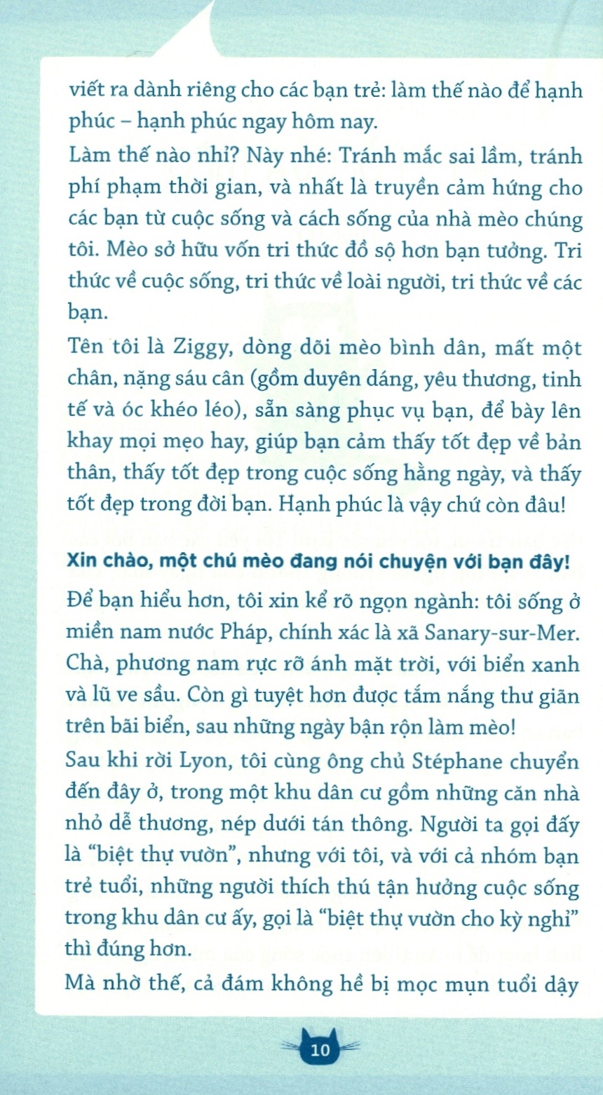 méo nhí thành mèo nhớn - Ảnh 7