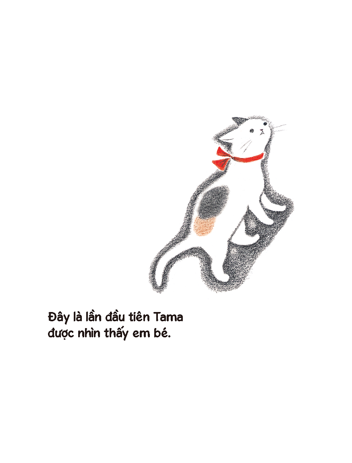 mèo tama và em bé - Ảnh 5