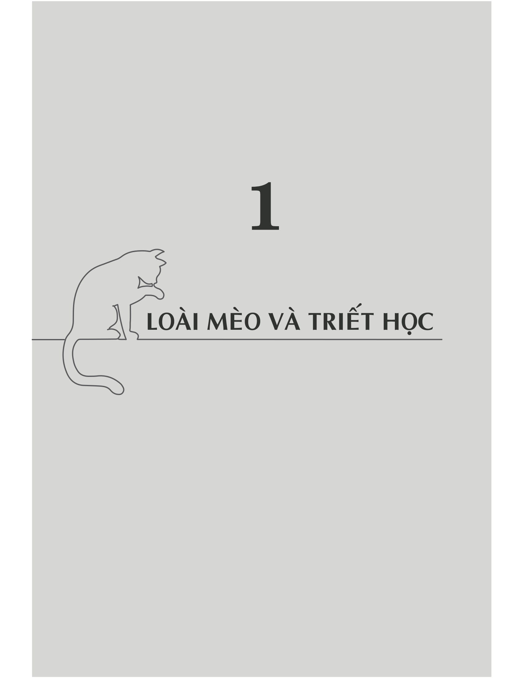 mèo và triết lý nhân sinh - Ảnh 10