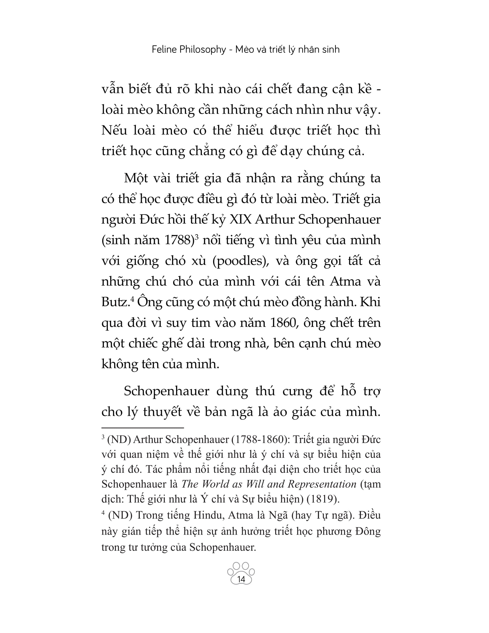 mèo và triết lý nhân sinh - Ảnh 17