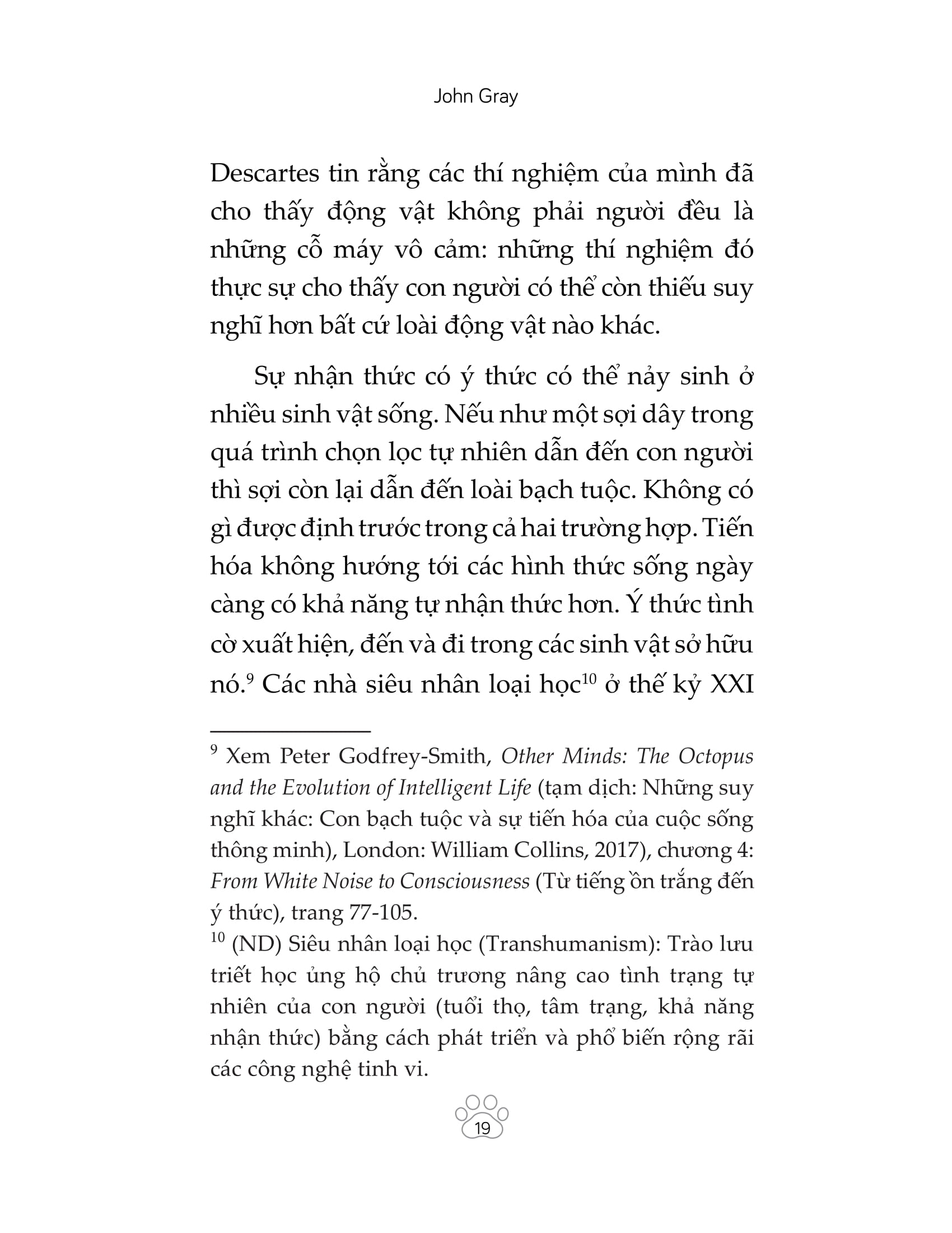 mèo và triết lý nhân sinh - Ảnh 22