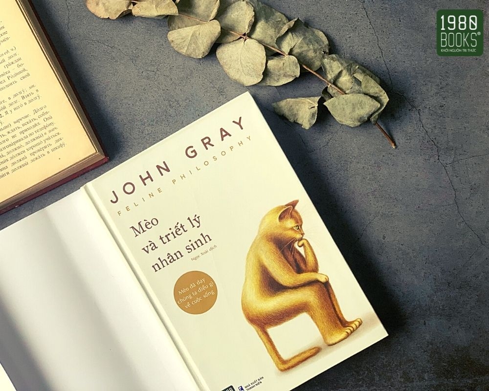 mèo và triết lý nhân sinh - Ảnh 4