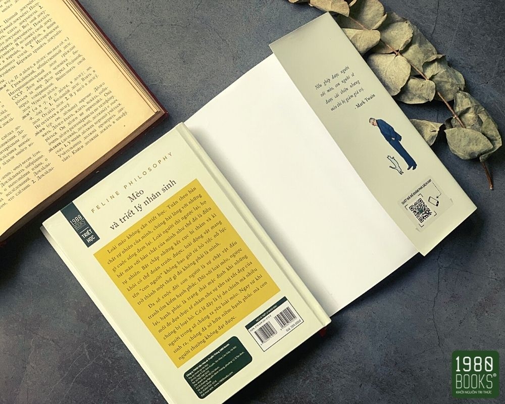 mèo và triết lý nhân sinh - Ảnh 6