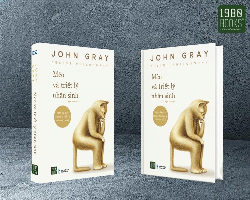 mèo và triết lý nhân sinh - Ảnh 7