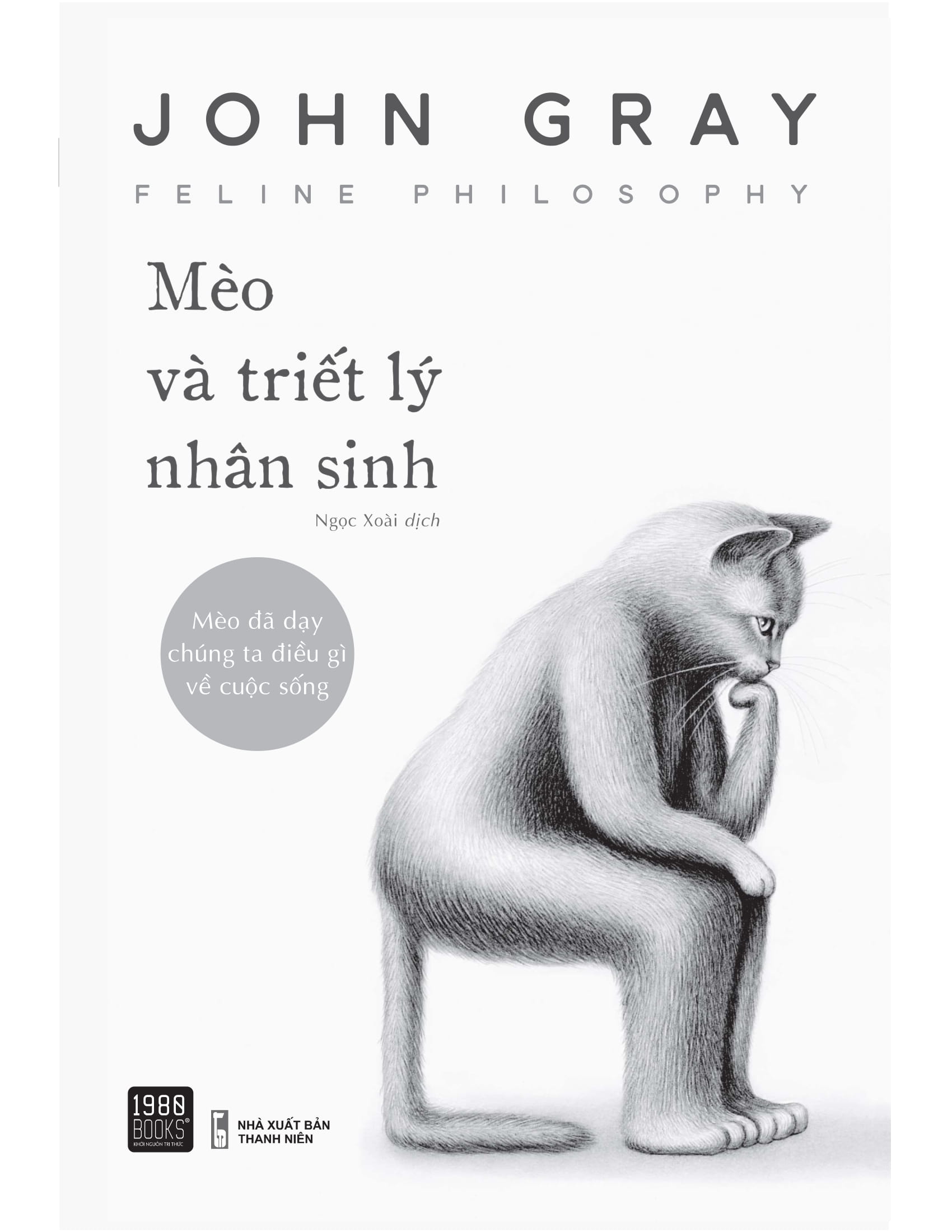 mèo và triết lý nhân sinh - Ảnh 8