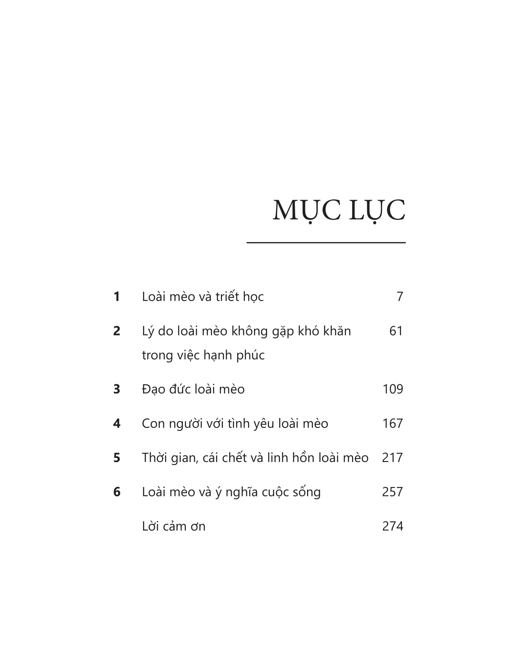 mèo và triết lý nhân sinh - Ảnh 9