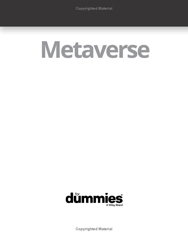 metaverse for dummies - Ảnh 3