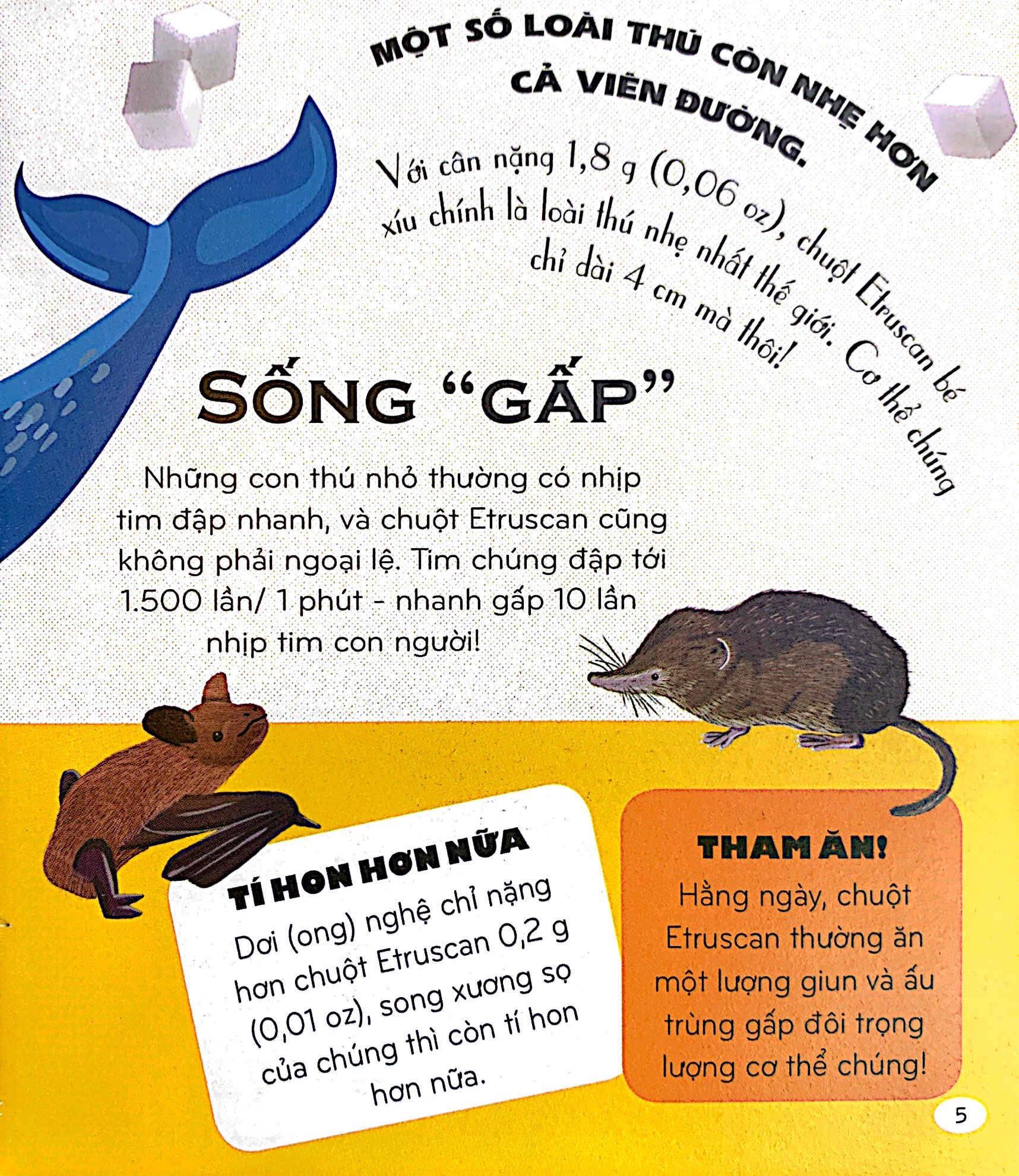 micro facts! 500 fantastic facts about animals - cùng bé khám phá 500 điều thú vị về động vật - Ảnh 5