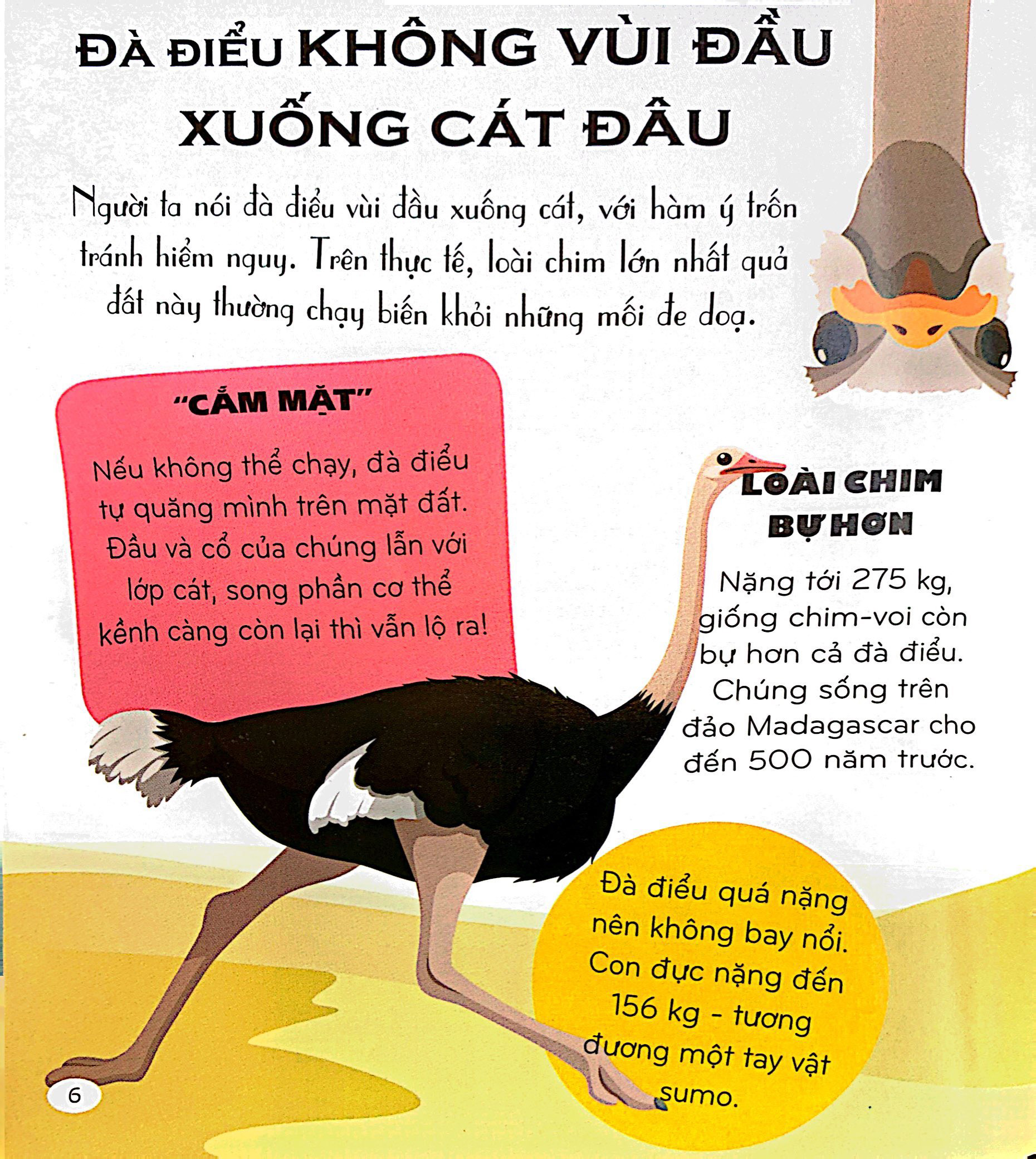 micro facts! 500 fantastic facts about animals - cùng bé khám phá 500 điều thú vị về động vật - Ảnh 6