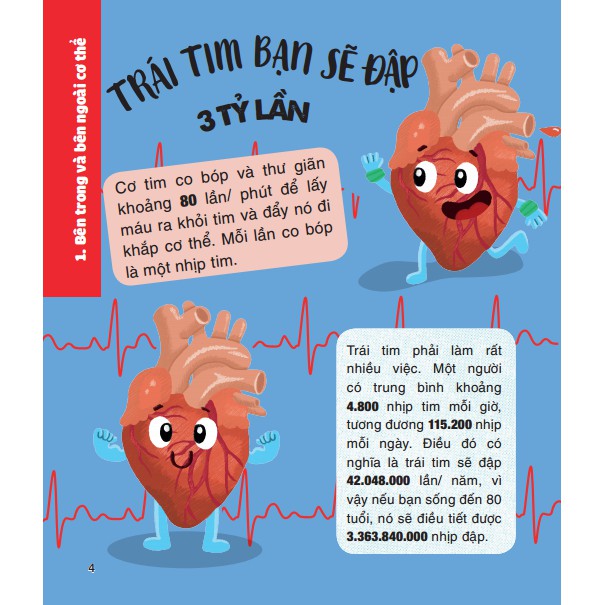 micro facts! 500 fantastic facts about your body - cùng bé khám phá 500 điều thú vị về cơ thể người - Ảnh 3